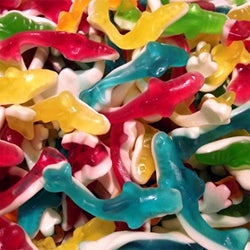 Requins lisses jake ref A020