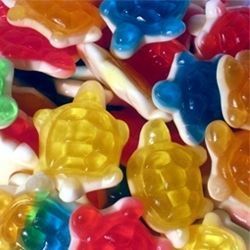 tortues lisses dulceplus ref A079