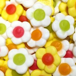 Marguerites daisies Jake ref A013